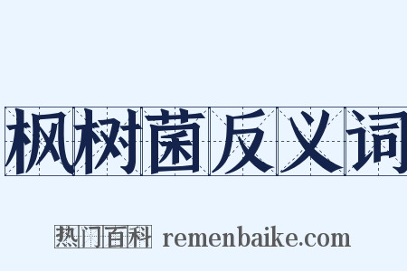 枫树菌反义词是什么意思的图片